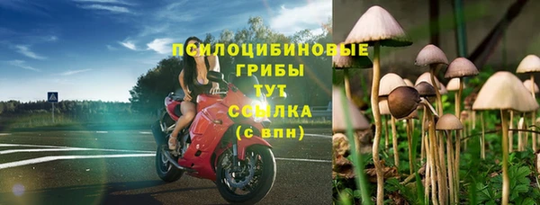 гашиш Абаза