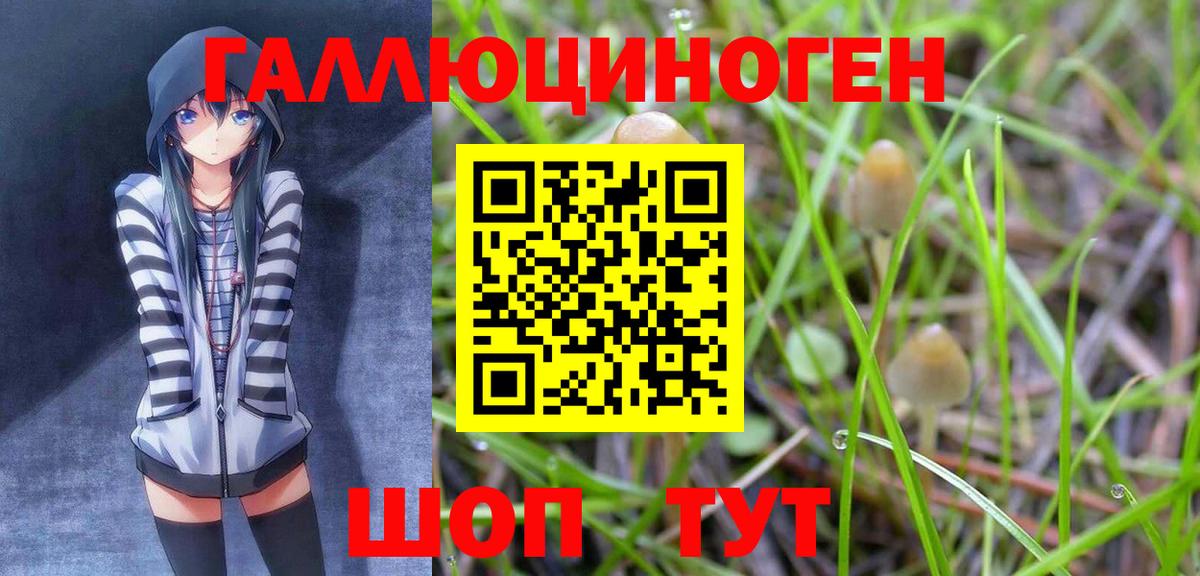 Псилоцибиновые грибы мухоморы Холмск