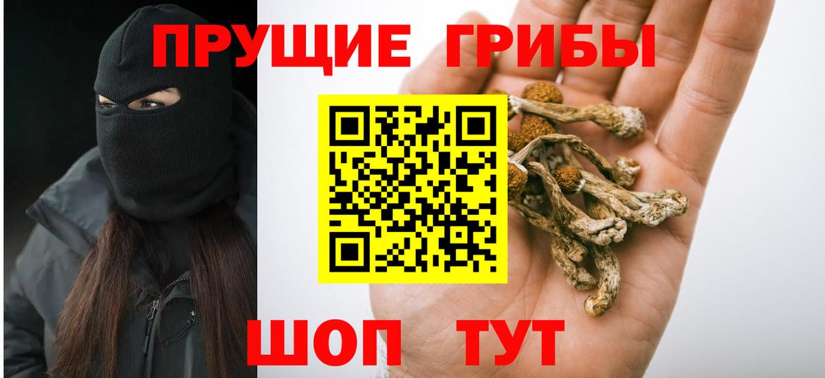Псилоцибиновые грибы MAGIC MUSHROOMS  Вход с VPN  Холмск 